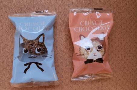 手術後3日目。最後の管が取れた!