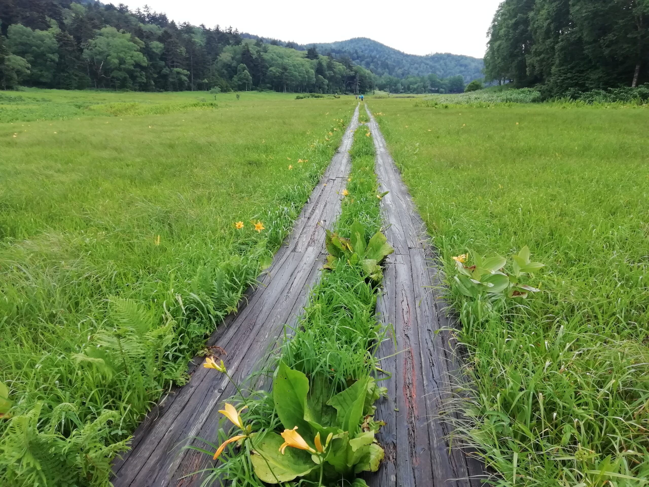 60歳の希望と試練。