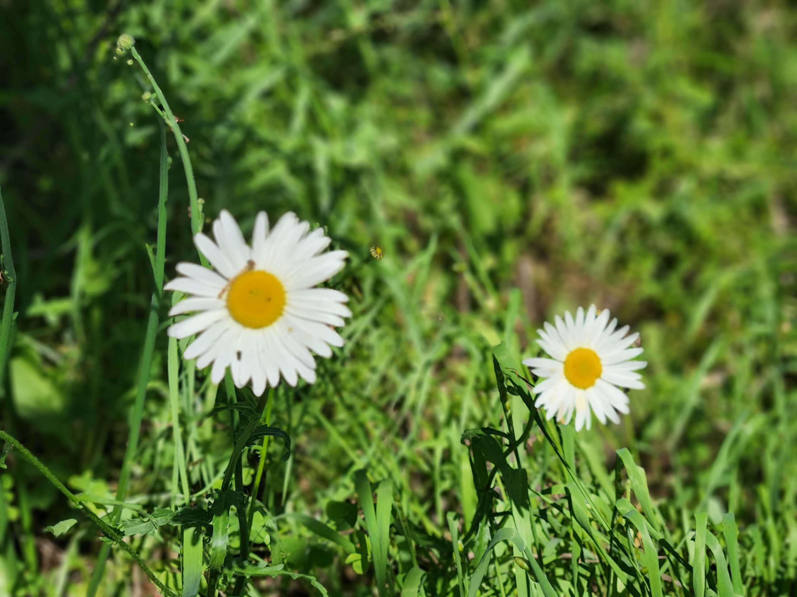 副作用が出ない・・・