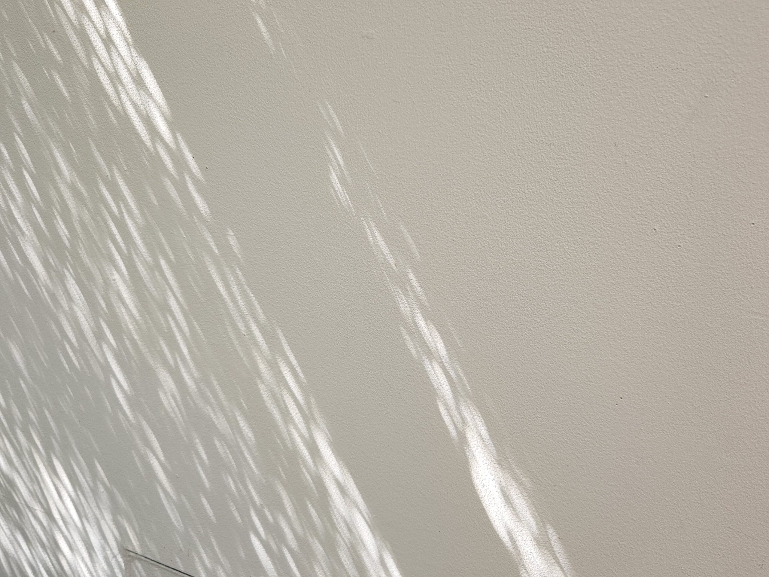 抗がん剤服用への迷い。