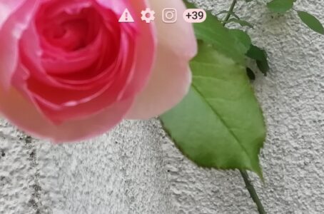 神様なんていない。だから自分で決めるという選択。