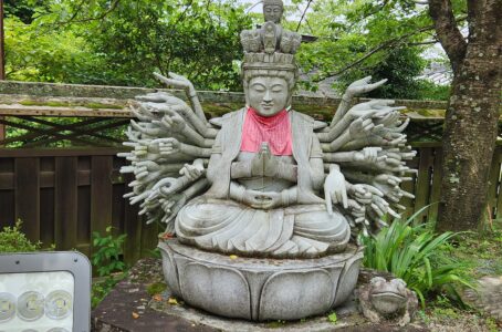 術後半年経過・・