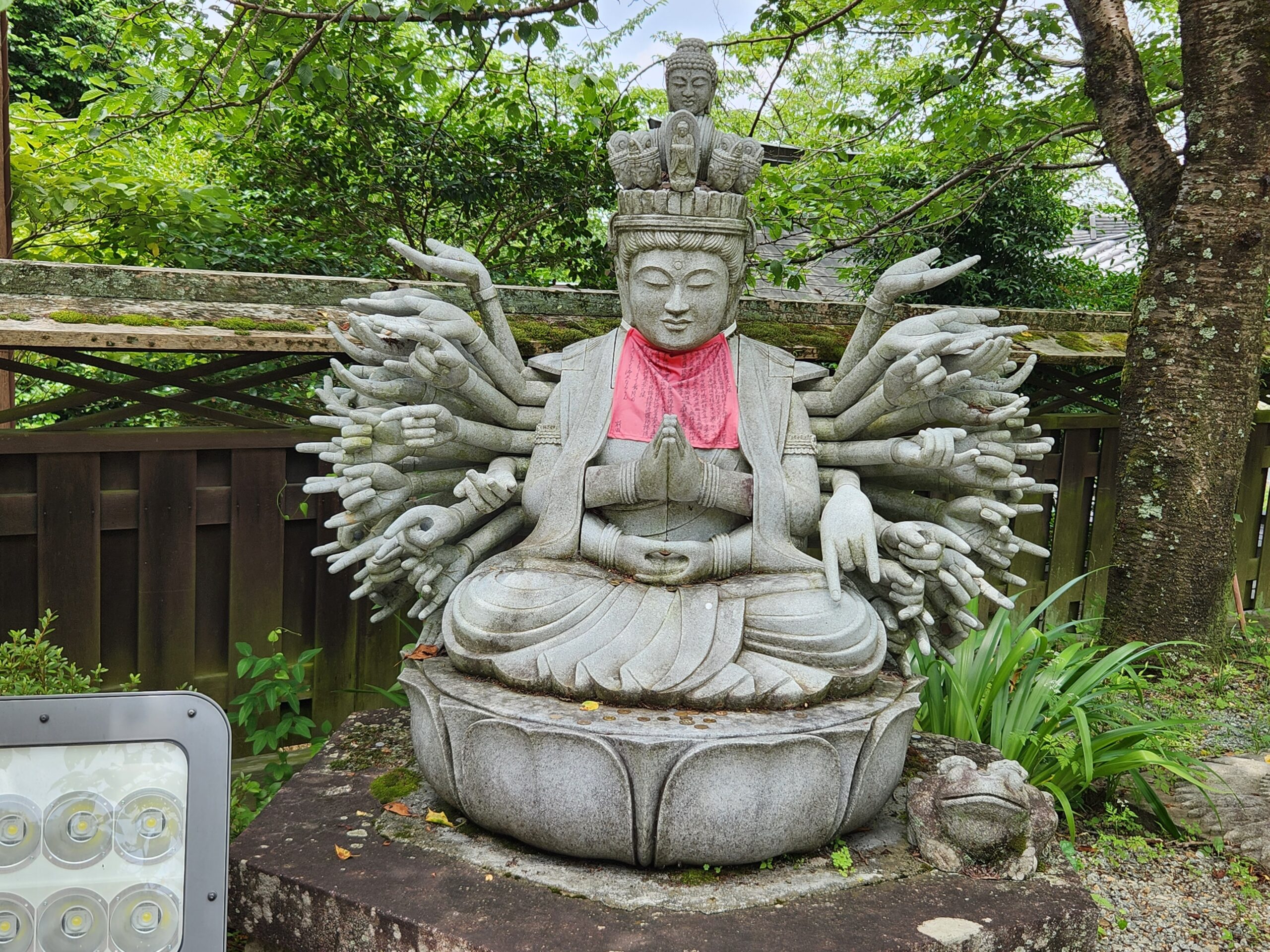 術後半年経過・・