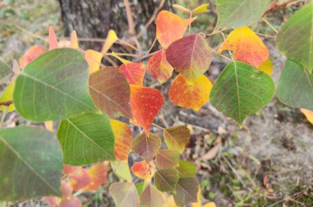 自分の人生を引き受けるということ。映画「それでも私は」から