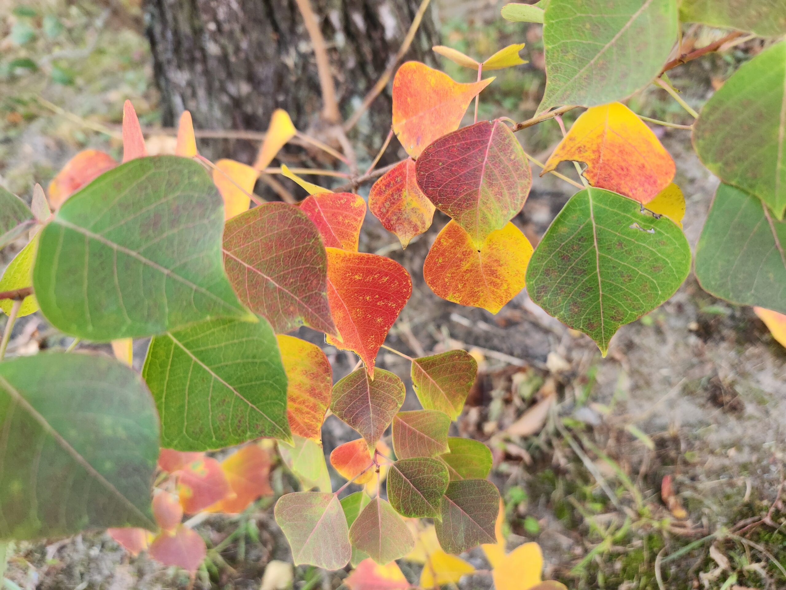 自分の人生を引き受けるということ。映画「それでも私は」から