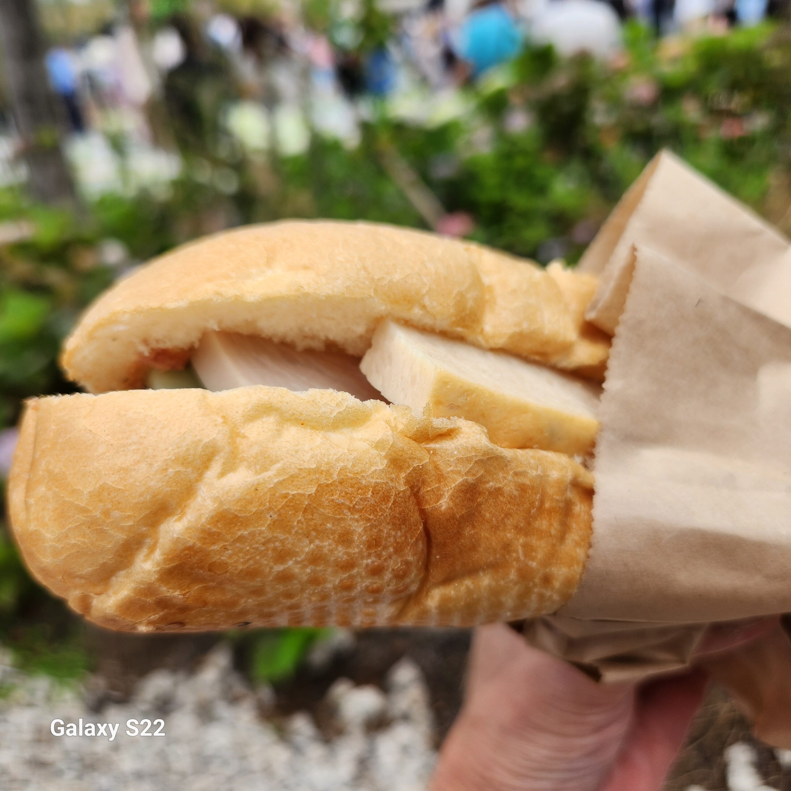 54の民族が生きるベトナム。