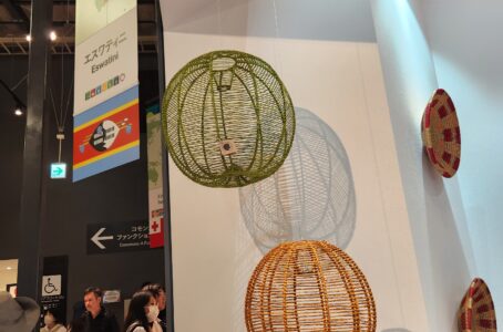 エスワティニ(ESWATINI)の美しいかごたち。